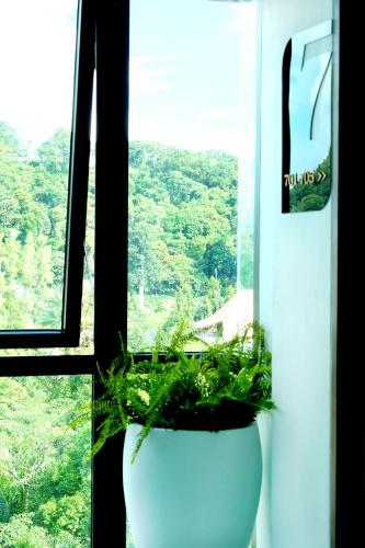 a plant in a pot in front of a window at Montana Hotel Songkhla in Songkhla