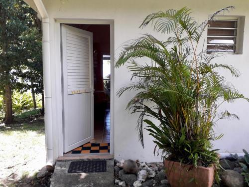 Taman di luar Villa Rose Caraibes