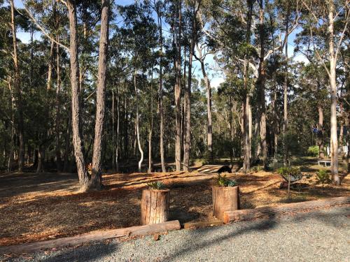 a park with trees and two logs with plants in them at Bay and Bush Jervis Bay in Huskisson