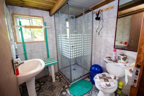 Un baño con ducha, lavabo e inodoro. en Hospedaje Familiar Nicomacc, en Melipeuco