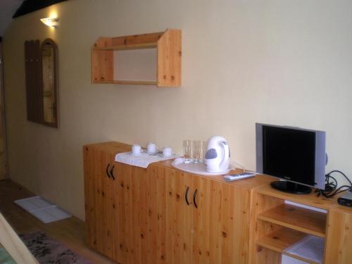 TV a/nebo společenská místnost v ubytování Hotel Vltava