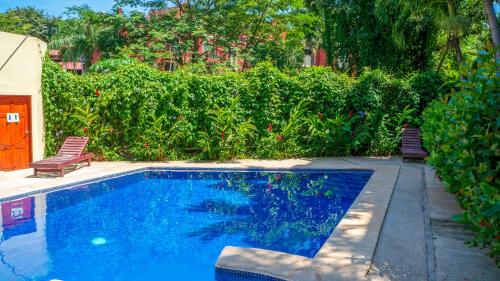 タマリンドにあるLC4 La Cometa Center of Tamarindo 1bed+1bathの庭園内のスイミングプール(椅子2脚付)