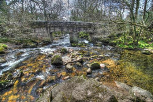 an old stone bridge over a stream in a forest at The Moorland Hotel in Wotter
