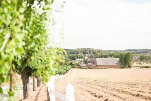 a vineyard with a white fence and a field at B&B La Ferme de l'Hosté in Wavre