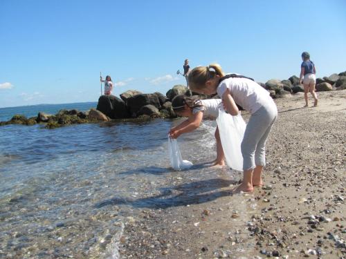 a woman and a child playing in the water on the beach at Dancamps Trelde Naes (Camp Site) in Fredericia