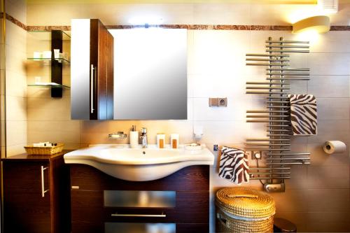 a bathroom with a sink and a mirror at Vinařský penzion André in Velké Pavlovice