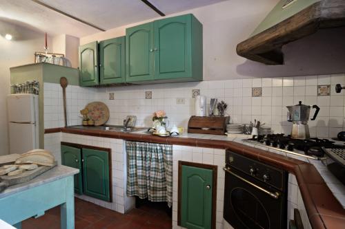 a kitchen with green cabinets and a sink at La Chiusuraccia in Barberino di Mugello