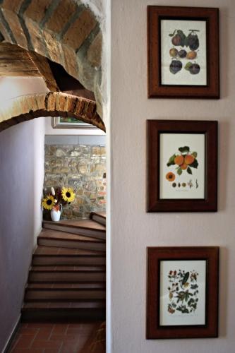a hallway with pictures of fruit on the wall at La Chiusuraccia in Barberino di Mugello
