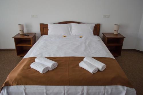 Billede fra billedgalleriet på Pensiune Casa Ampeia i Alba Iulia