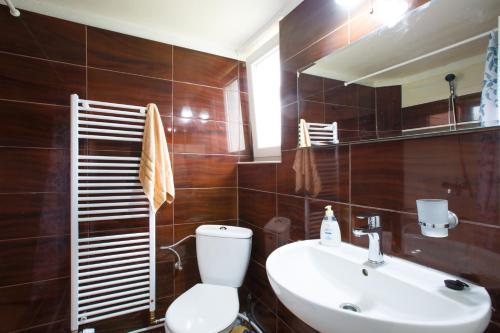 een badkamer met een toilet, een wastafel en een spiegel bij Penzión Žemberovce in Dolné Žemberovce