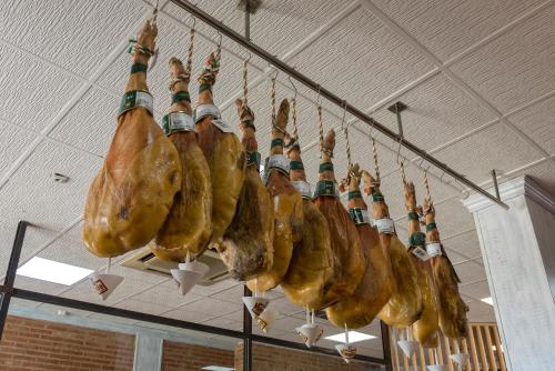 stuffed animals hanging from a ceiling at Hotel-Restaurante La Sima in Castillo de Garcimuñoz