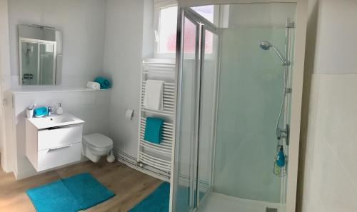 uma casa de banho com um chuveiro, um WC e um lavatório. em Relais vacances à la Mer 1 em Berck
