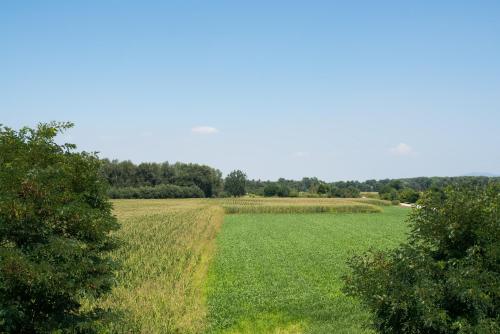 a large field of grass with trees in the background at Green Class Hotel Candiolo in Candiolo