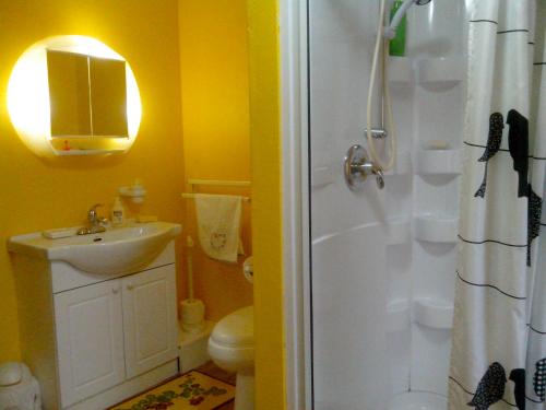 a bathroom with a shower and a sink and a toilet at Pension B&B Dodeman in Saint-Pierre