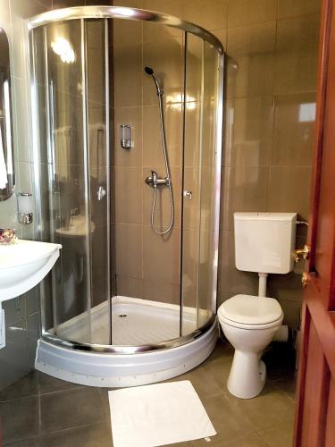 a bathroom with a shower with a toilet and a sink at Pension Marina in Sinaia