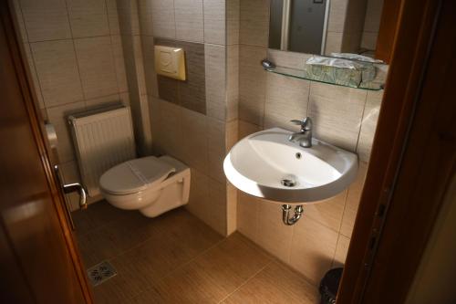 a bathroom with a sink and a toilet at Pension Panorama in Odorheiu Secuiesc