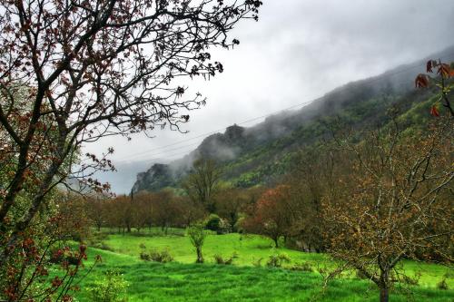 a green field with trees and a mountain at Chalet Coquelicot (Co-cli-co) relax in nature in Kalavrita