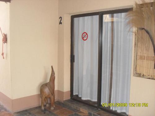 a dog standing in a room looking out of a window at Silvermoon in Nigel