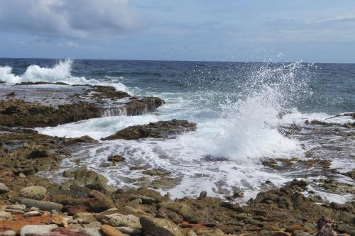 a group of waves crashing on a rocky beach at Villa Unique in Willemstad