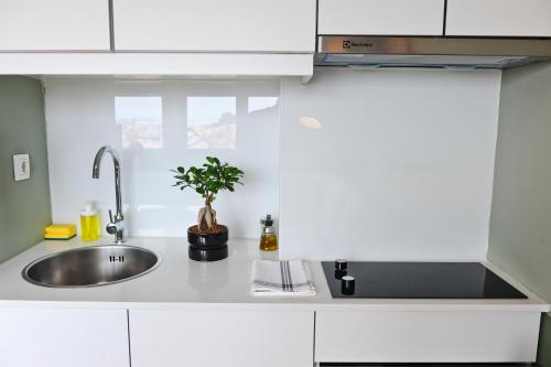 a kitchen counter with a sink and a potted plant at Mojito by the River Apartment 3C in Lisbon