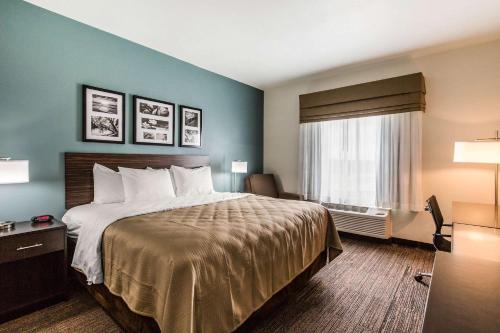 Postel nebo postele na pokoji v ubytování Sleep Inn & Suites - Bryan