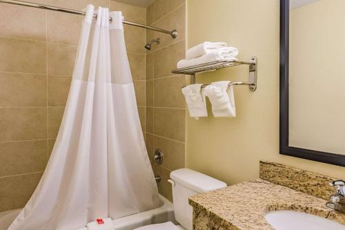 y baño con cortina de ducha, aseo y lavamanos. en Econo Lodge Lexington Downtown near I-81, en Lexington