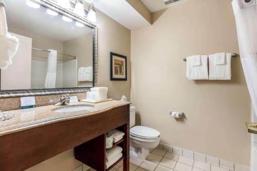 a bathroom with a sink and a toilet and a mirror at Quality Suites Paducah I-24 in Paducah