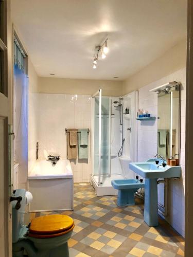 une salle de bain avec toilettes, lavabo et douche dans l'établissement Le Chevalier Noir, à Cordes-sur-Ciel