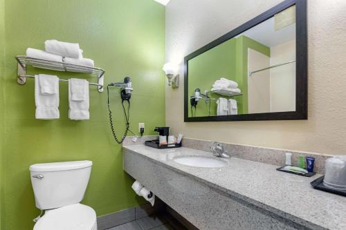 y baño con aseo y lavabo con espejo. en Sleep Inn & Suites Millbrook - Prattville, en Millbrook