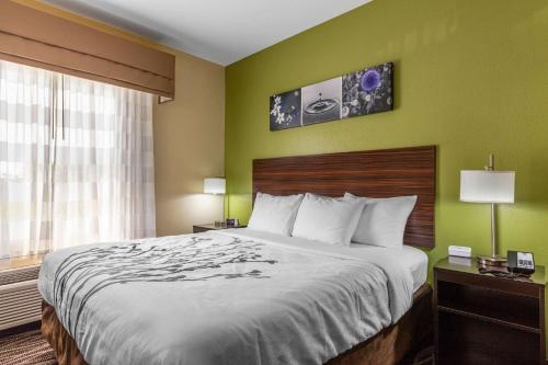 a hotel room with a bed and a window at Sleep Inn & Suites Millbrook - Prattville in Millbrook