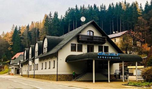 Fotografie z fotogalerie ubytování Hotel Albis ve Vrchlabí