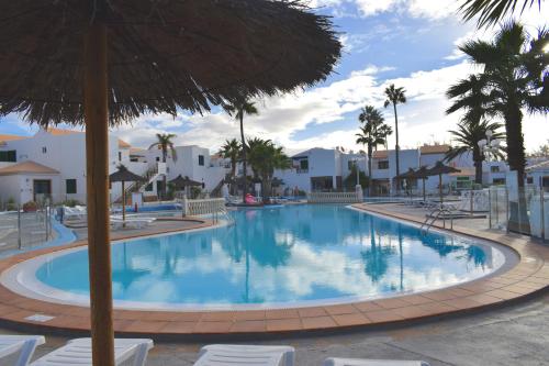een groot zwembad met stoelen en parasols in een resort bij ALCALDE MARCIAL SANCHEZ VELAZQUEZ 15 in Caleta De Fuste