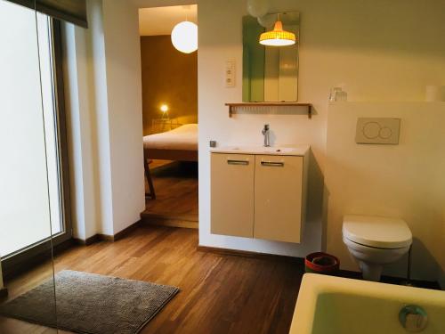 敘里斯的住宿－Le Rockormoran，一间带水槽和卫生间的浴室以及一间卧室