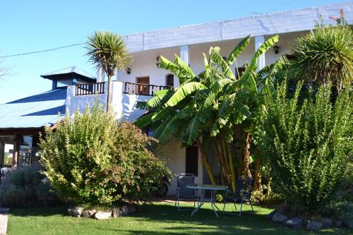 a house with palm trees in front of it at Posada del Navegante in Carmelo
