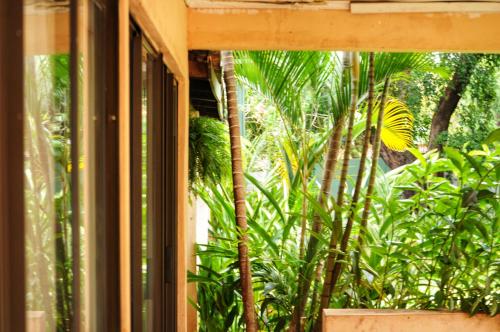 a window with a view of trees and plants at Butterfly Apartments in Livingstone