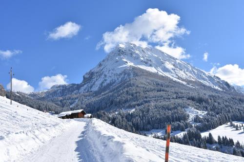 una montaña cubierta de nieve frente a una pista de esquí en Vorderstuhlhof en Kleinarl