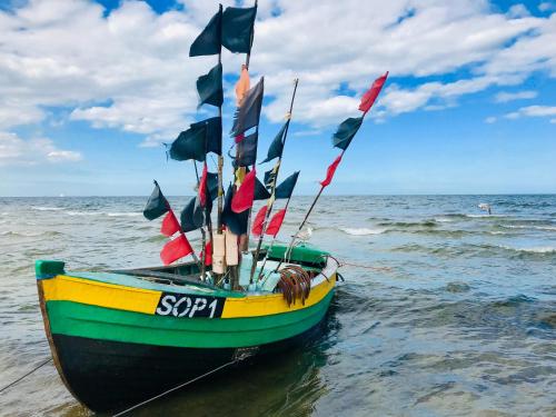a green and yellow boat with flags in the water at Patio Mare Amber in Sopot