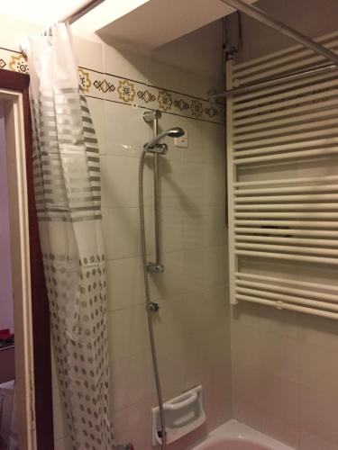 y baño con ducha y cortina de ducha. en Gli Abeti en Abetone
