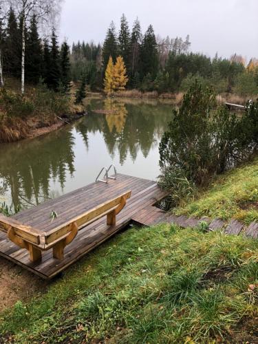 a wooden dock with a bench next to a lake at Dzeņi in Amatciems