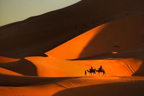 a group of people riding horses in the desert at Family Moroccan House in Merzouga