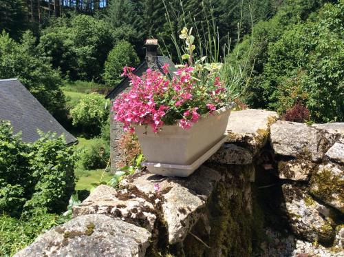a pot of flowers sitting on a stone wall at Le Moulin des Farges in Meymac