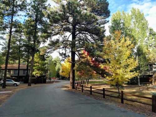 a road in a park with trees and a fence at 2BR Gated Escape With A Pool And Walk to Dining and Trails in Pinetop-Lakeside