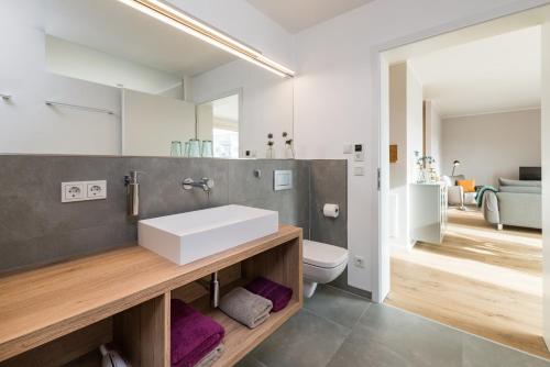 a bathroom with a sink and a toilet and a mirror at Suites MITTE - Aparthotel in Eisenach