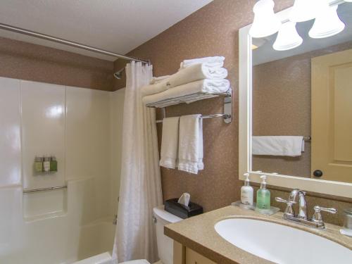 a bathroom with a sink and a toilet and a mirror at Spacious 2 Bed Condo at Crystal Mountain Resort in Thompsonville
