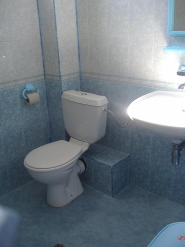 a bathroom with a toilet and a sink at Arkadia Guest House in Primorsko