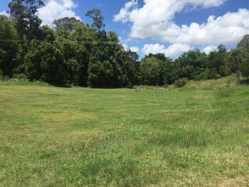 a large grass field with trees in the background at Yandina Caravan Park in Yandina