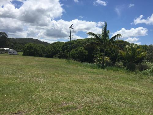 a field with a palm tree and a windmill at Yandina Caravan Park in Yandina