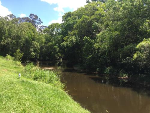 a river next to a grassy field with trees at Yandina Caravan Park in Yandina