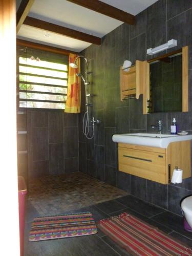 a bathroom with a sink and a toilet and a mirror at Chez Solange et Michel in Sainte-Rose