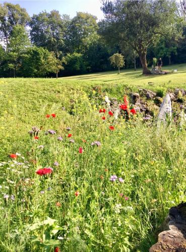 a field full of flowers in a park at Appartement Ambiente in Waidhofen an der Ybbs